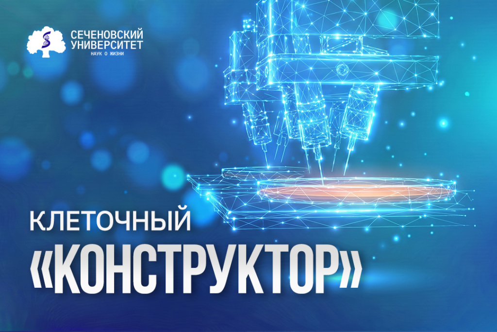 В Сеченовском Университете научились управлять формой живых клеточных конструкций для выращивания тканей