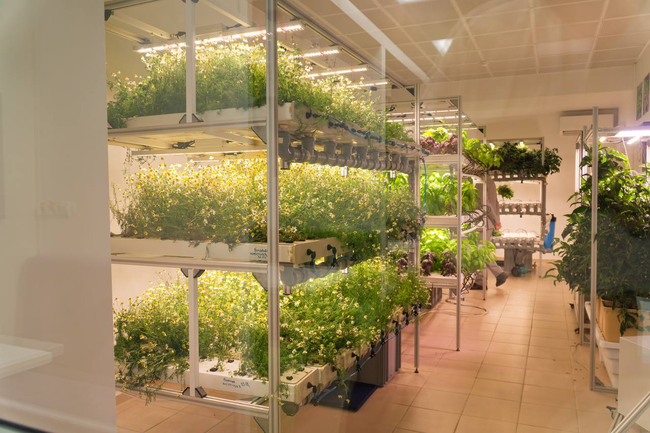 ПИШ ДВФУ запустил программу дополнительного образования по биоинформатике