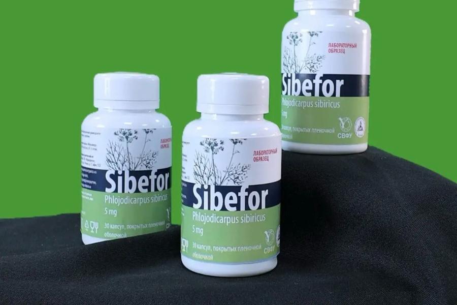 Исследователи СВФУ зарегистрировали биопрепарат на основе локального природного сырья