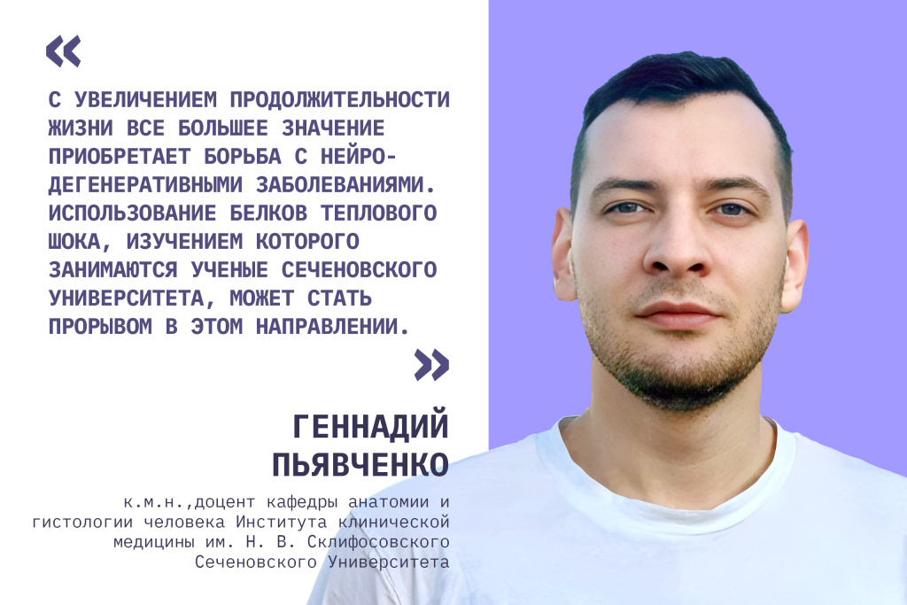 Мозг под защитой: как белки теплового шока могут уберечь от болезни Альцгеймера, БАС и инсульта