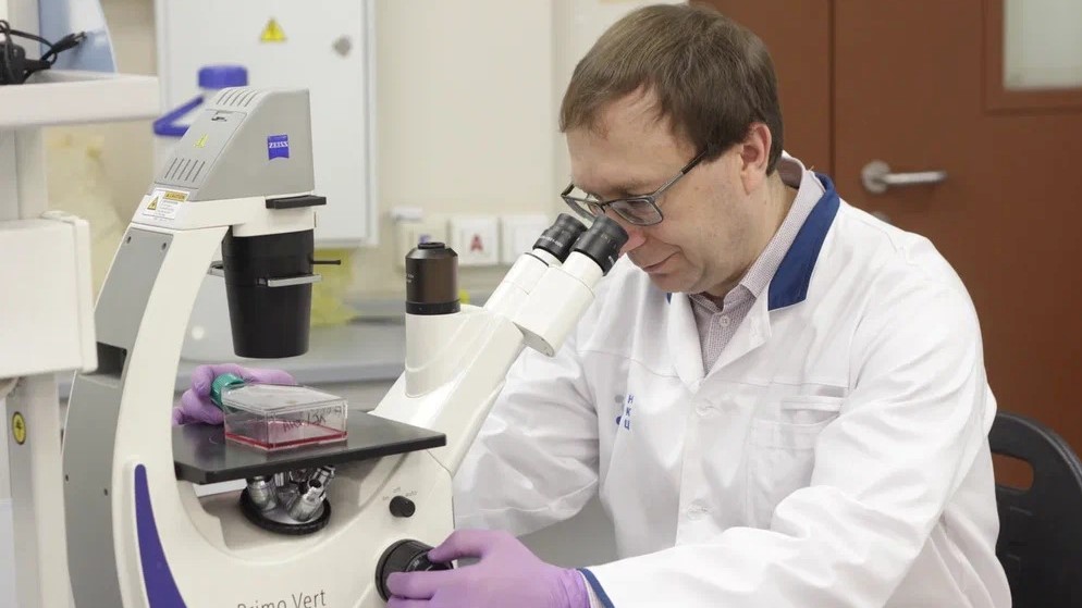 Ученый КФУ о лихорадке чикунгунья: «Похожа на грипп, но есть одно характерное отличие»