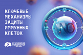 Ученые Сеченовского Университета выявили ключевые механизмы защиты иммунных клеток от программируемой гибели